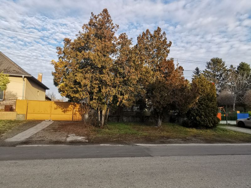 DRAŽBA rodinného domu s veľkým pozemkom, Vrakúň, okr. Dunajská Streda